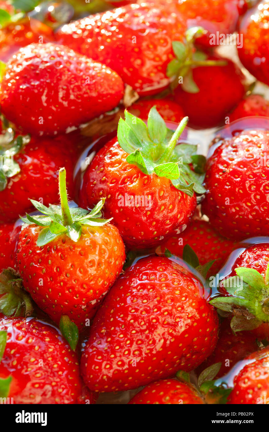 Rote garten Erdbeeren Stockfoto