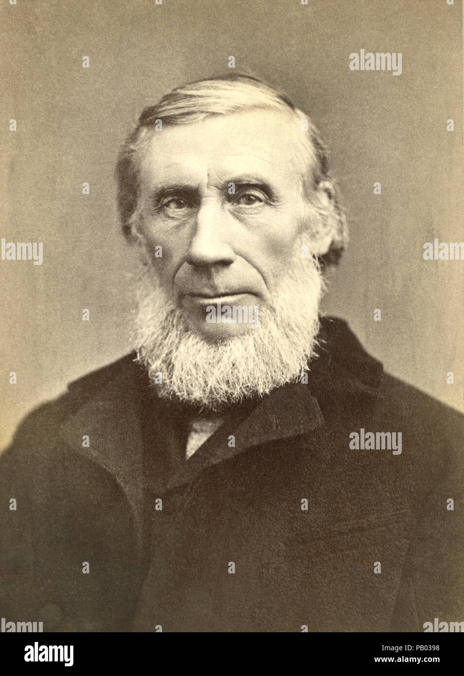 John Tyndall (1820-93), irischer Physiker, Medizinische Erzieher, Porträt, 1880 Stockfoto
