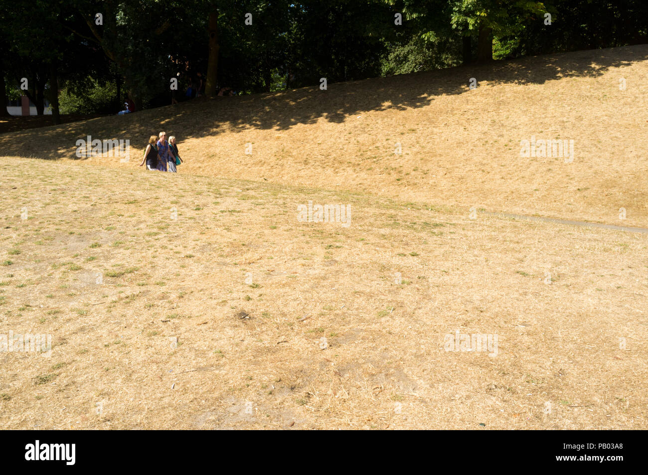 Trockenes Gras in einem Park in die Stadt Bristol, UK, während der Hitzewelle im Sommer 2018 Stockfoto