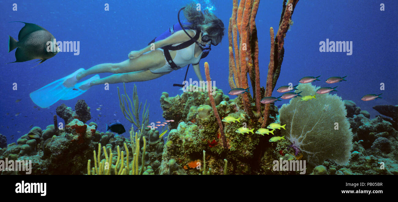 Eine tauchen Mädchen im Bikini stellt über das Korallenriff im warmen Wasser in der Karibik, umgeben von Fischen Stockfoto