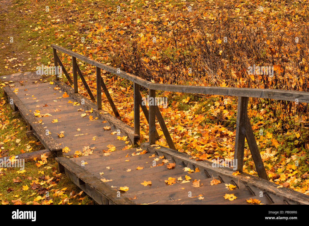 Herbst Holztreppe mit gefallenen Ahornblätter in der Landschaft Stockfoto