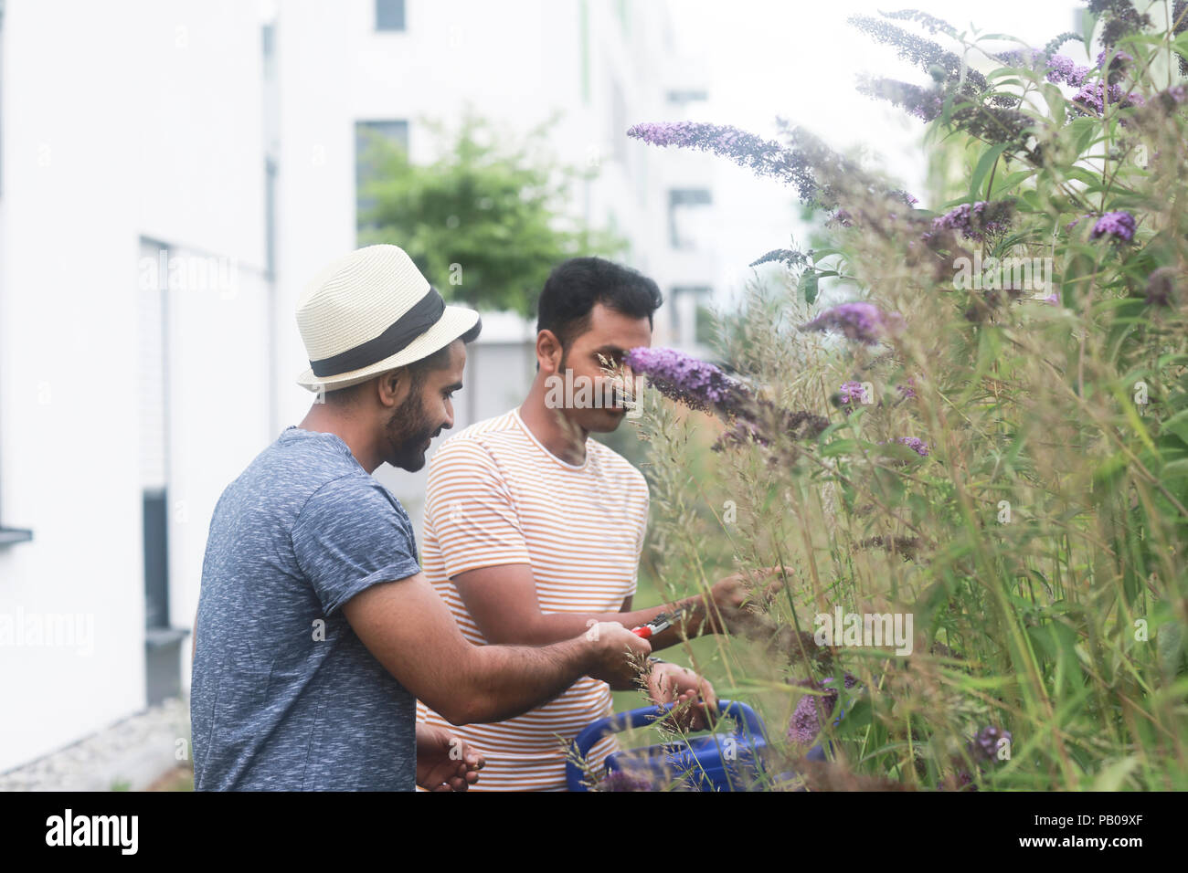 Zwei Männer stehen in einem Garten pflanzen Beschneiden Stockfoto