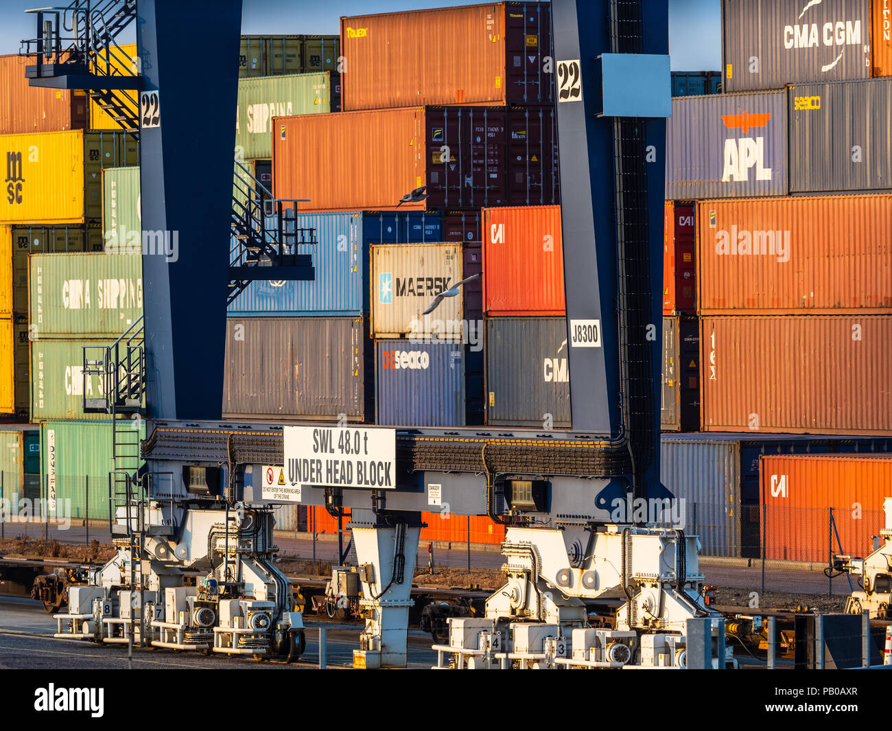 Rail Freight Terminal - Intermodal Container Trade - im Felixstowe Port, dem größten Containerhafen Großbritanniens, warten Schiffscontainer auf die Verladung in die Züge Stockfoto