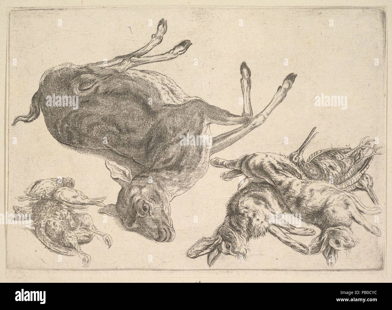 Tote Hirsche, Hasen und Spiel. Artist: Wenzel Hollar (Böhmische, Prag 1607-1677 London). Abmessungen: Platte: 5 3/8 x 7 3/4 in. (13,6 × 19,7 cm) Blatt: 5 9/16 x 7 13/16-in. (14,2 × 19,9 cm). Serie/Portfolio: Jagdhunde, Jagdausrüstung und Spiel (NH 887-906). Datum: 1625-77. Ein totes Reh, zwei Tote Hasen und fünf tote Wildvögel. Museum: Metropolitan Museum of Art, New York, USA. Stockfoto
