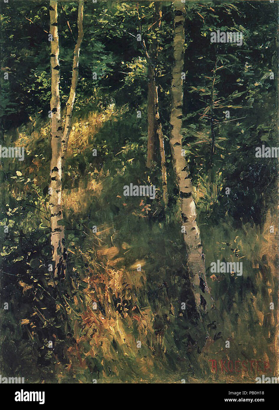 Koester Alexander - Birken Stockfoto