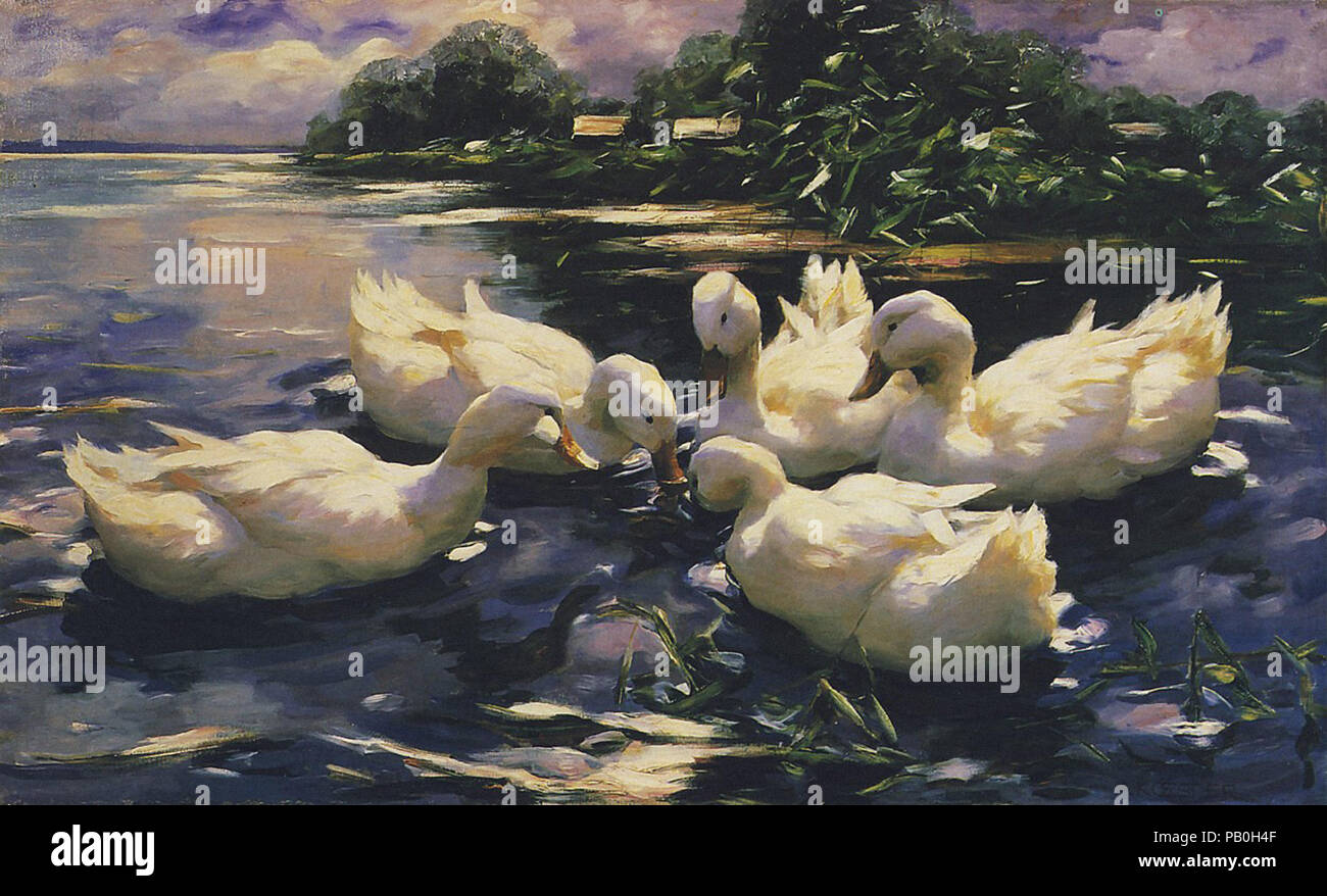 Koester Alexander - Entenbesprechung Stockfoto