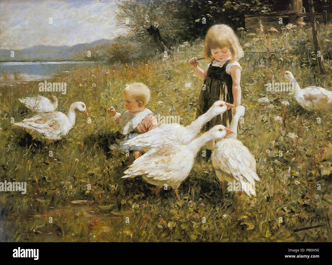 Koester Alexander - Gansefutterung Stockfoto