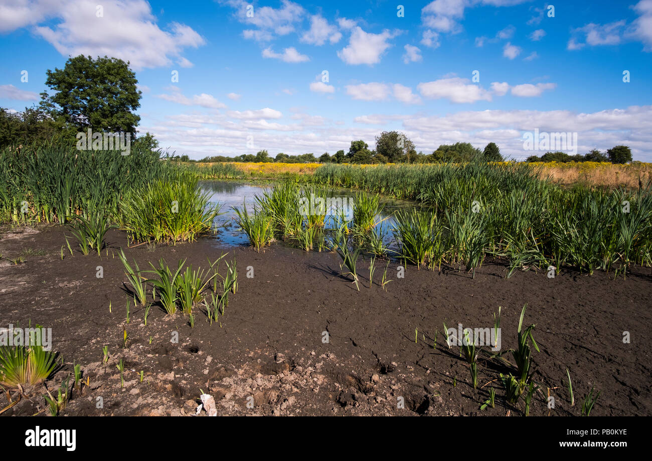 Wasserloch Austrocknen in Großbritannien Sommerhitze 2018 Stockfoto