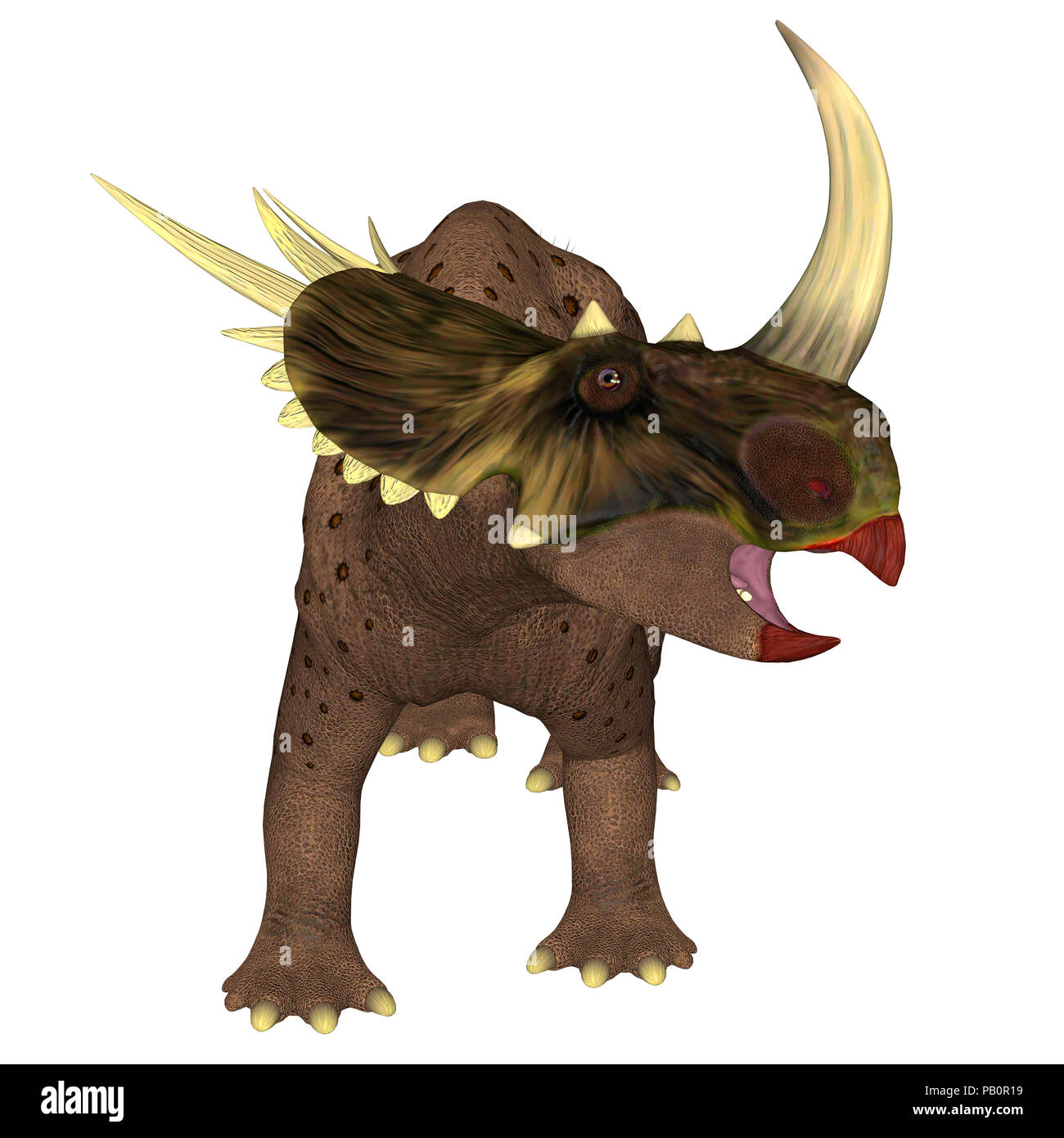Styracosaurus ovatus Fotos und Bildmaterial in hoher Auflösung Alamy