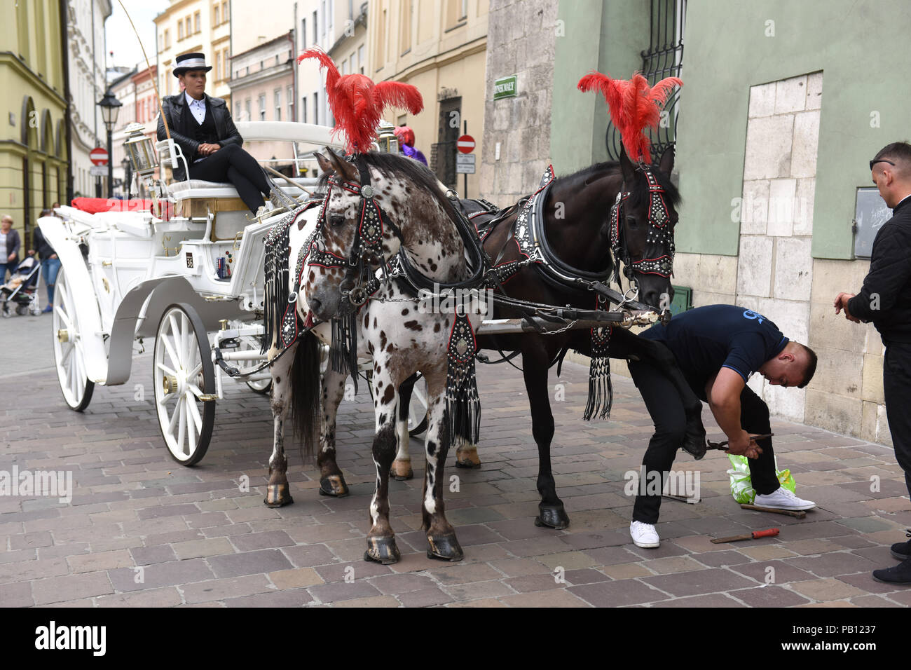 Polnischen Schmied ändern zeigen strassenreparaturen Pferde Kutsche in Krakau, Polen Stockfoto