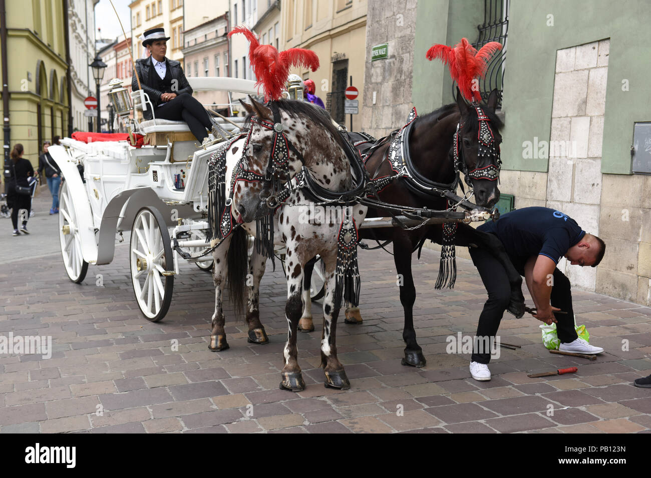 Polisk Schmied ändern zeigen strassenreparaturen Pferde Kutsche in Krakau, Polen Stockfoto