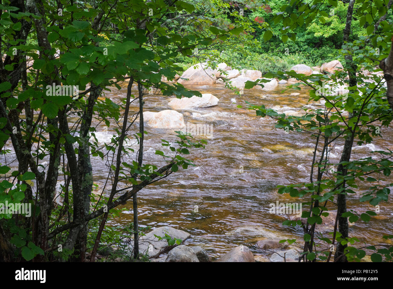Wasser läuft der Stream aus den Bergen über. Stockfoto