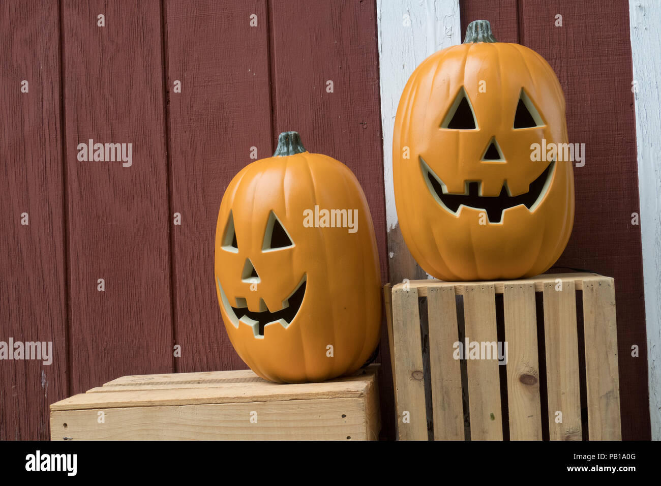 Noch immer leben von ein paar geschnitzten Halloween Kürbisse gegen Red Barn Siding an einem Vermont Farmers Market Stockfoto