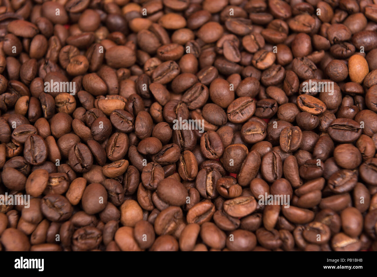 Kaffee Samen auf einem farbigen Hintergrund Stockfoto