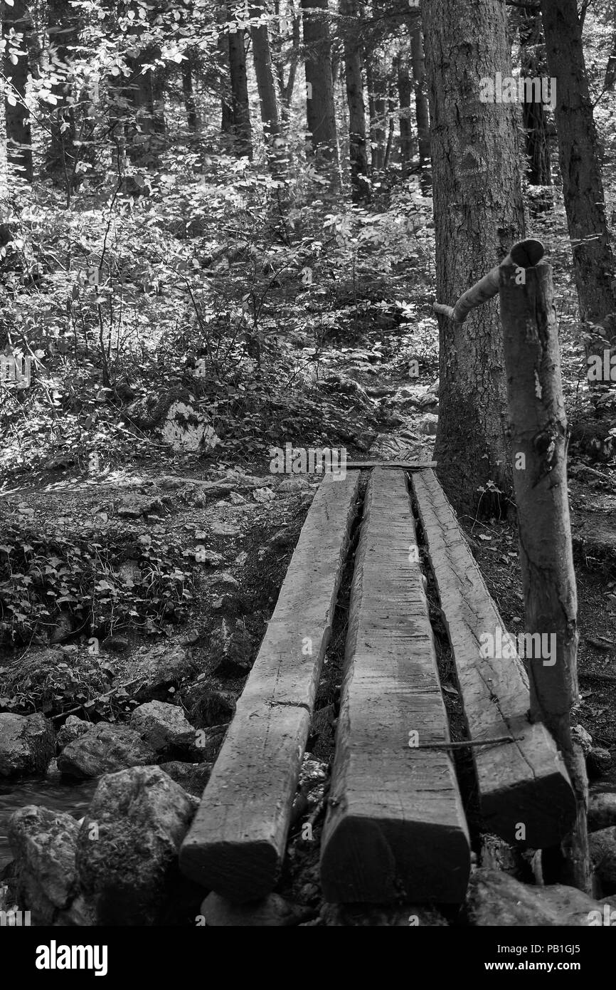 Hölzerne Brücke im Wald Stockfoto