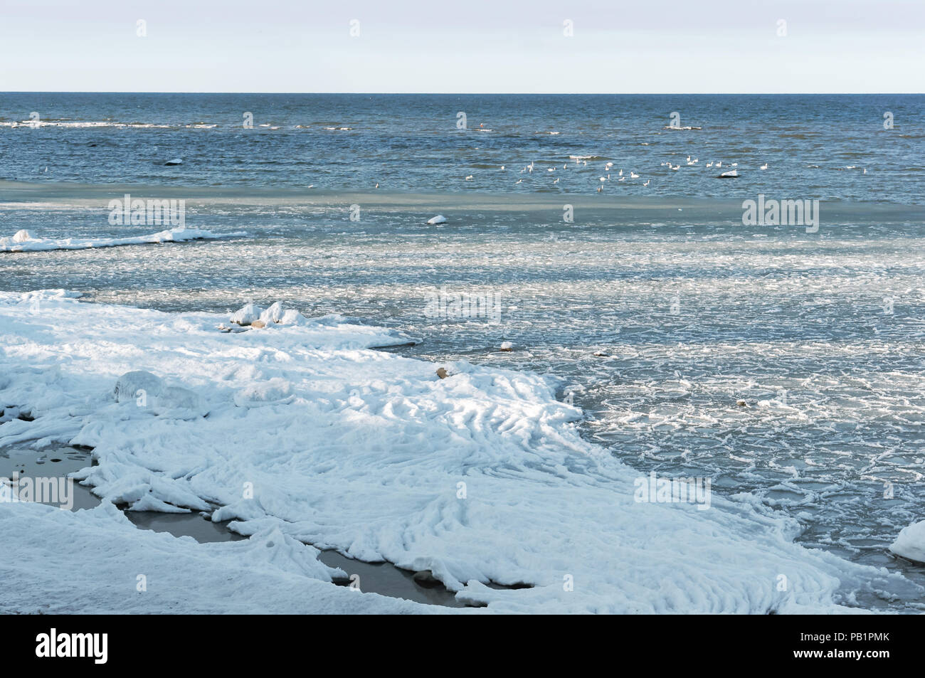 Ice slush aus dem Meer, Schnee Gülle im Behälter Stockfoto