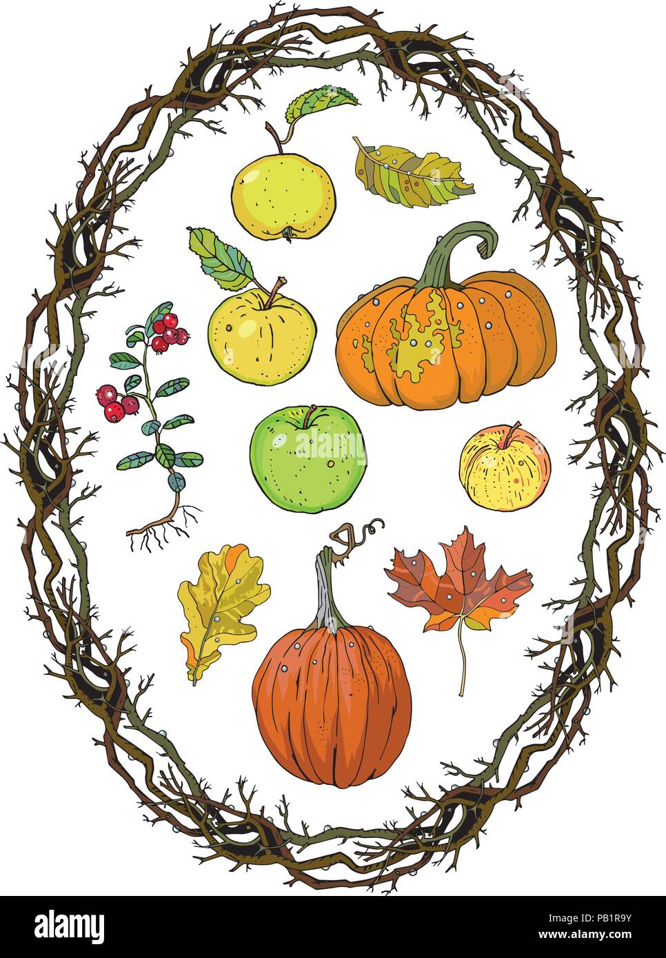 Herbst Ernte clipart eingestellt: oval Kranz Branchen frame, Kürbisse, Äpfel, Preiselbeere, Eiche, Ahorn fallenden Blätter. Fallen saisonale Dekoration, Färbung Seite. Hand Vector Illustration gezeichnet. Stock Vektor