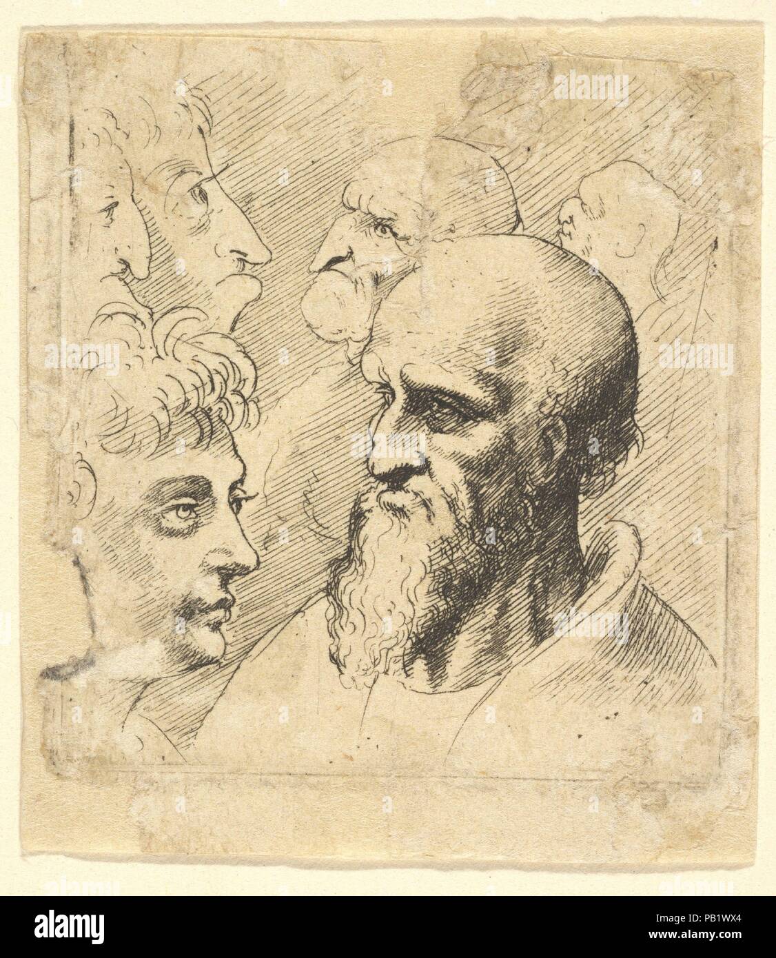 Diversae Probae. Artist: Nach Leonardo da Vinci (Italienisch, Vinci 1452-1519 Amboise). Maße: Blatt: 2 1/16 x 1 7/8 in. (5,2 × 4,8 cm) schneiden Sie im folgenden Text. Plasmaätzer: Wenzel Hollar (Böhmische, Prag 1607-1677 London). Datum: 1645. Titel - Seite "ProbÃ iversÃ ¦ ¦" (Antwerpen, 1645), mit dem Studium der sechs männliche Köpfe, darunter ein junger Mann in drei Viertel Profil nach rechts, Kopf und Schultern eines alten bärtigen Mann in drei Viertel Profil nach links. Museum: Metropolitan Museum of Art, New York, USA. Stockfoto