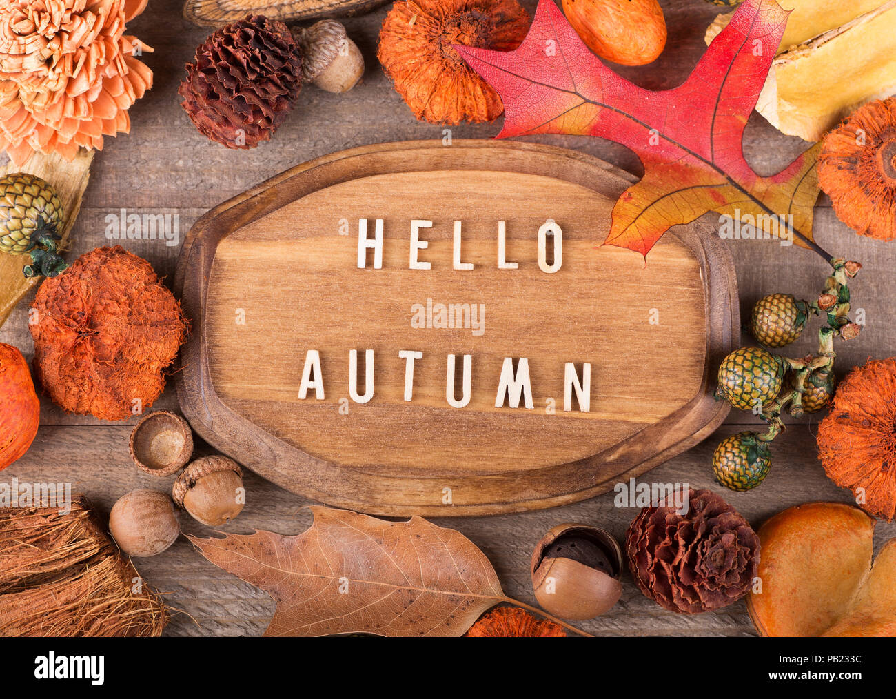 Holz Plakette mit hello Herbst Text mit bunten Herbst Objekten umgeben Stockfoto