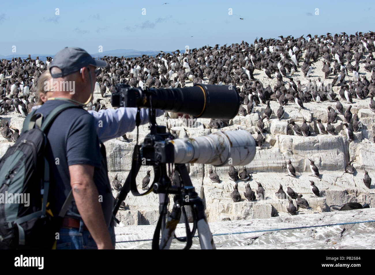 Zwei Personen Teleobjektive Stative fotografieren Vögel Farne Islands Northumberland, Großbritannien Stockfoto