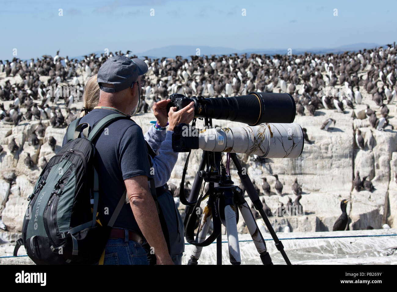 Zwei Personen Teleobjektive Stative fotografieren Vögel Farne Islands Northumberland, Großbritannien Stockfoto
