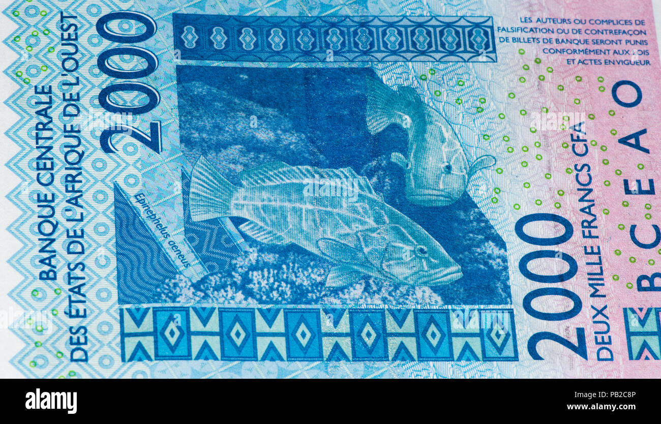2000 CFA-Franc Bank Note. CFA-Franc ist in 14 afrikanischen Ländern verwendet. Stockfoto