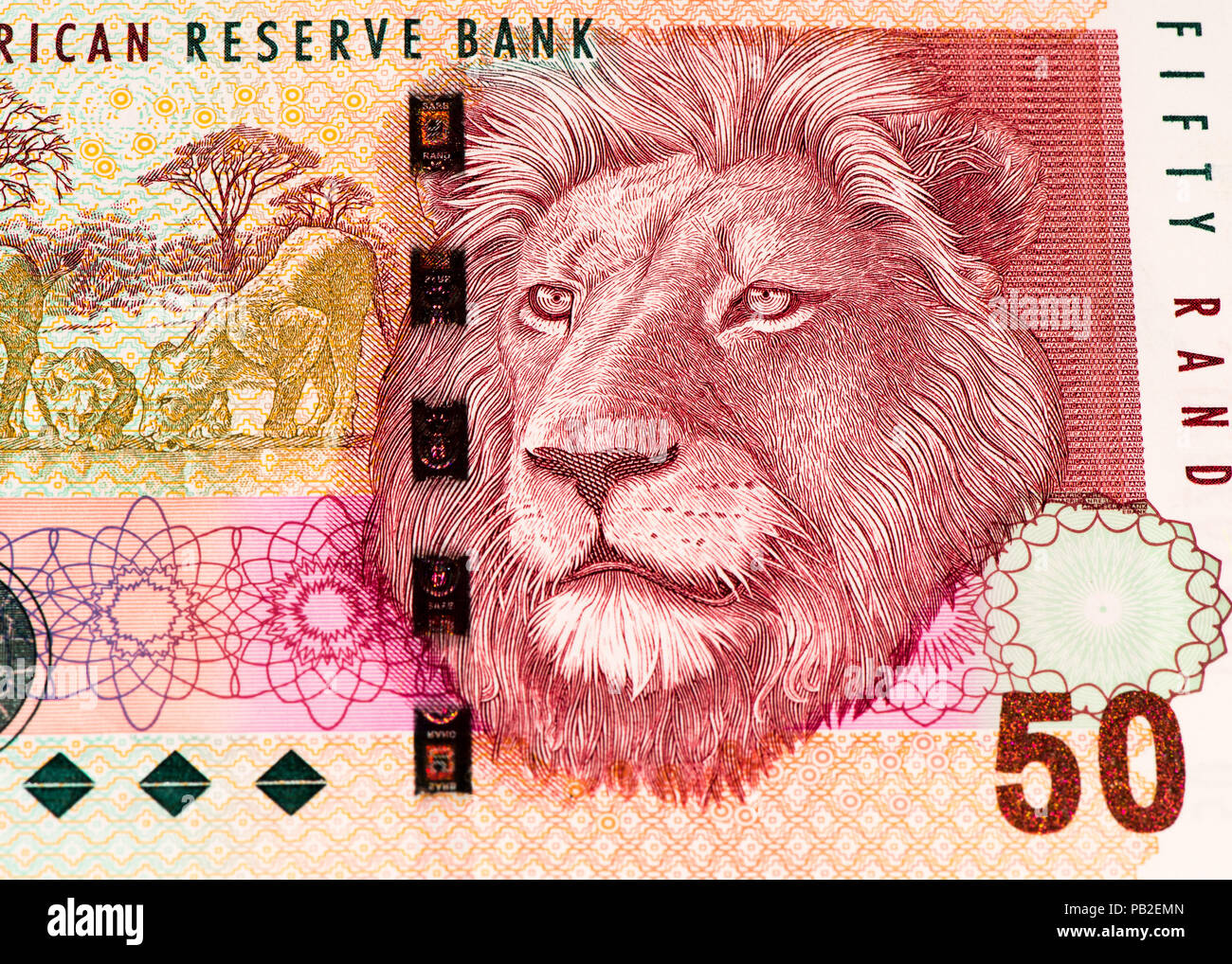 50 Südafrikanischen Rand Bank Note. Südafrikanischen Rand ist die nationale Währung der Südafrika Stockfoto
