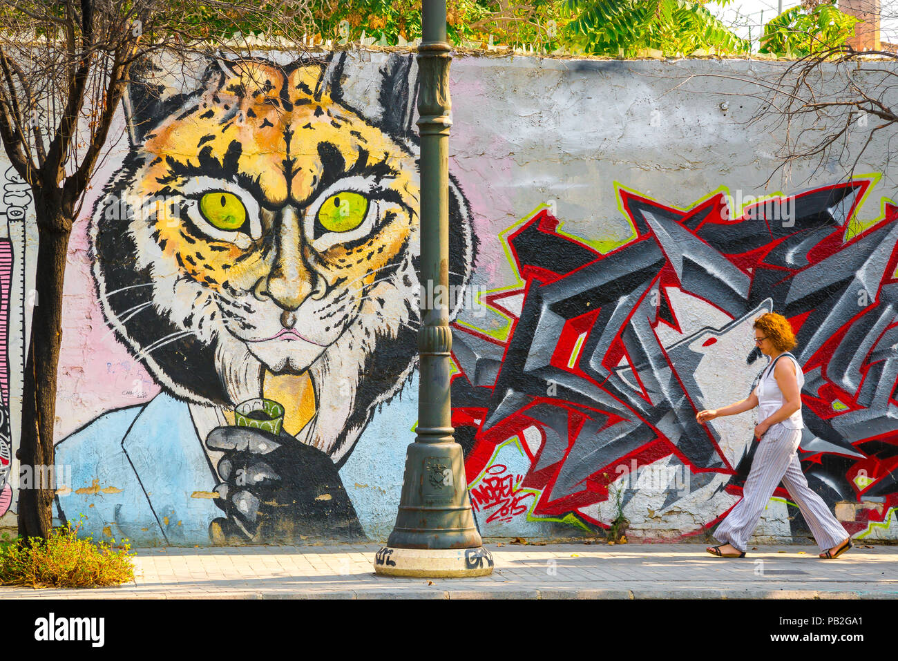 Valencia Spanien Farbe, Blick auf eine Frau zu Fuß vorbei an einer bunten Illustrierten Wand in die Altstadt Barrio del Carmen, Valencia, Spanien. Stockfoto