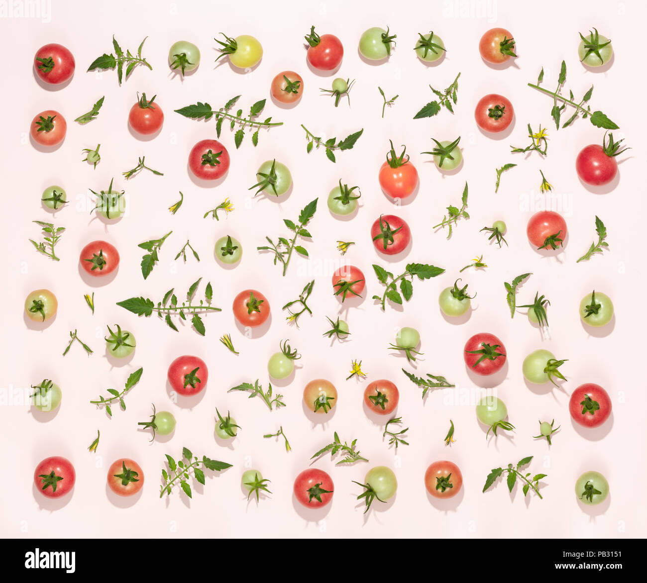 Frische Tomaten und Laub, Gemüse Hintergrund. Stockfoto