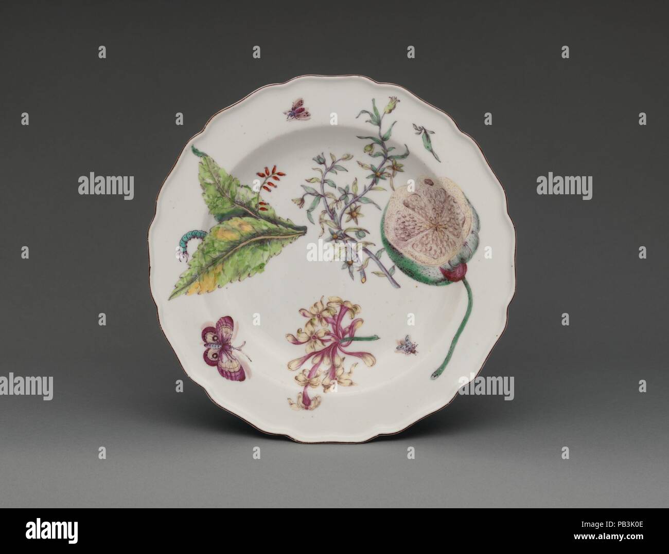 Botanische Platte mit Geißblatt-Spray. Kultur: Britische, Chelsea. Abmessungen: Insgesamt (bestätigt): 1 1/2 x 9 1/8 x 9 1/8 in. (3,8 × 23,2 × 23,2 cm). Teekocher: Chelsea Porzellanmanufaktur (British, 1745-1784, Rot Anker Zeitraum, Ca. 1753-58). Datum: Ca. 1755. Diese botanischen Platten (2016.217.226) wurden von der Chelsea factory um 1755 hergestellt und sind oft als Chelsea' Hans Sloane' Waren bezeichnet, in Bezug auf die königliche Arzt, Reisender, und natürliche Historiker, der half, die Chelsea Physik Garten zu einem Zentrum der botanisches Wissen verwandeln während der britischen Aufklärung. Mehrere s Stockfoto