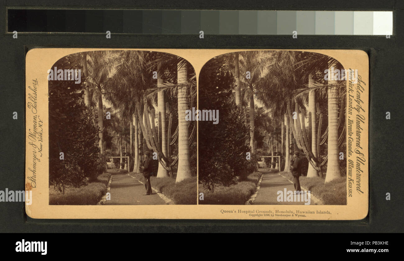 1239 Queen's Gelände, Honolulu, Hawaii Inseln (Nypl b 11707436-G90F 159 028 F) Stockfoto