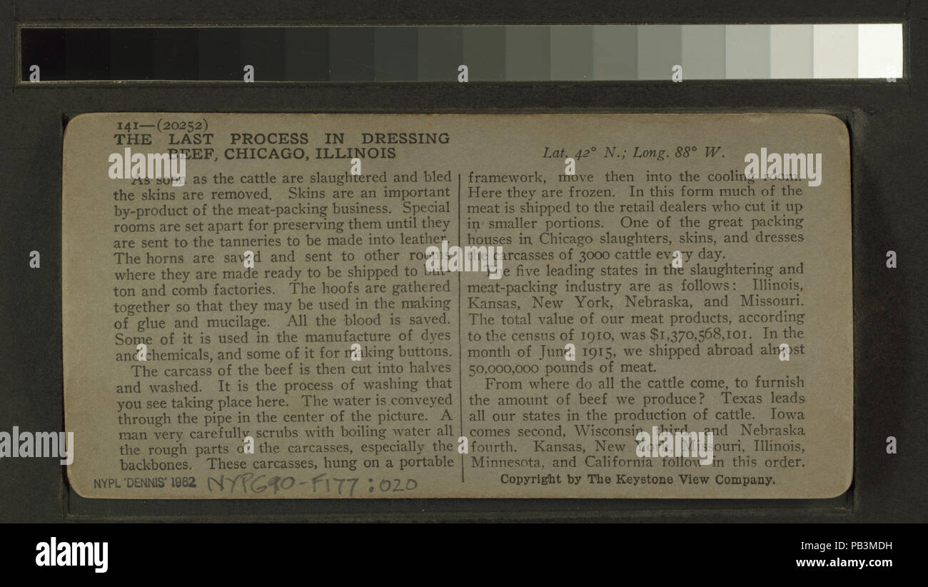 1650 Der letzte Prozess in dressing Rindfleisch - Waschen mit kochendem Wasser. Chicago, Illinois, USA (Nypl b 11707454-G90F177 020B) Stockfoto