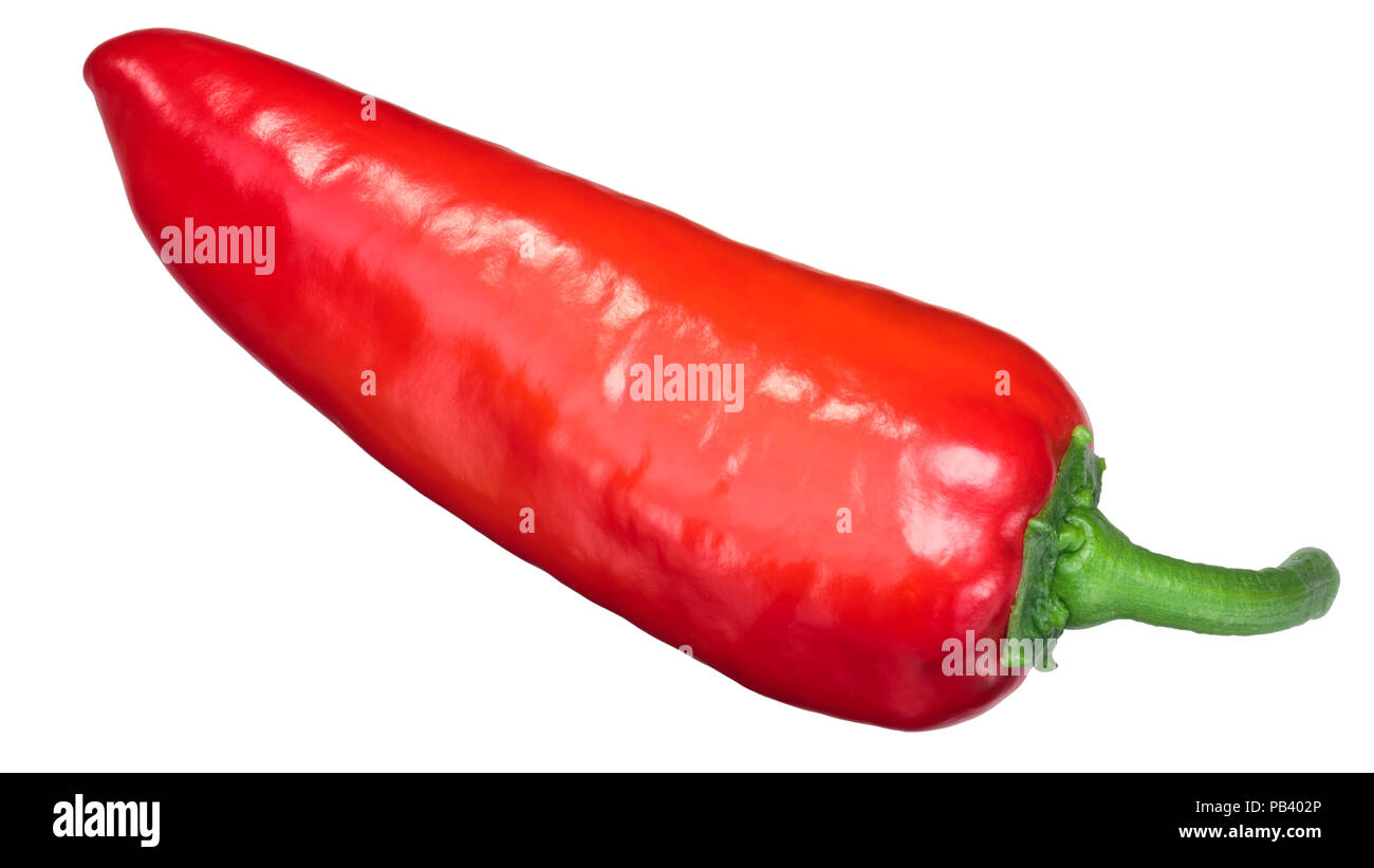 Ramiro Paprika (Capsicum annuum) Frucht, Reife ganze pod, Ansicht von oben Stockfoto