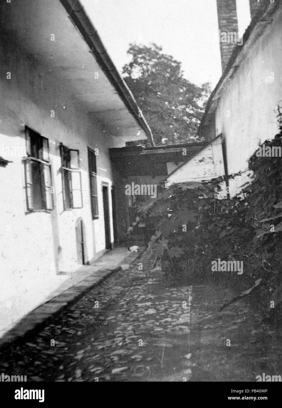 1875 Yard Fortepan 4477 Stockfoto