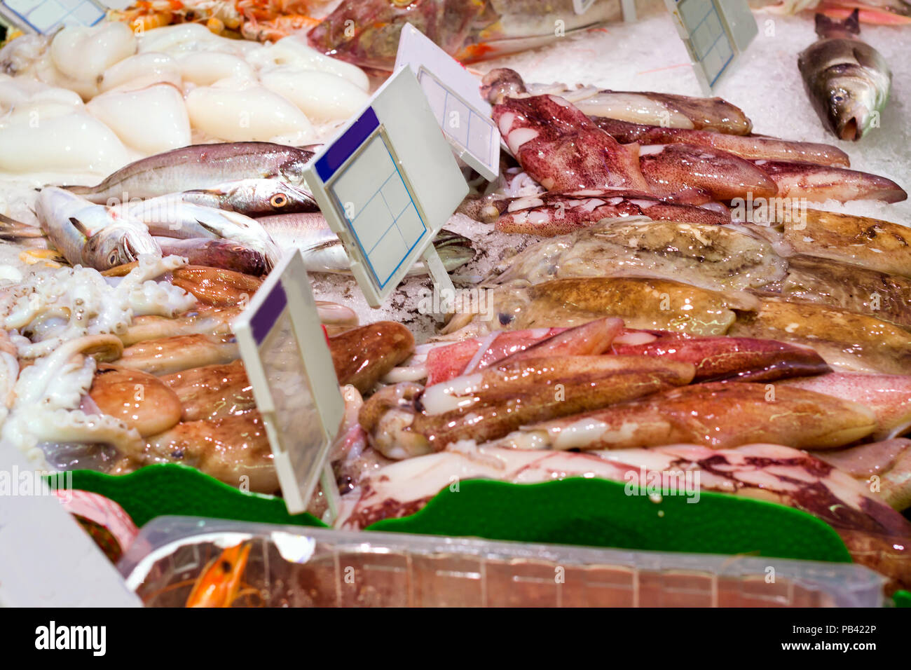 Frischen Fisch, Meeresfrüchte und Meer Köstlichkeiten auf Eis Arbeitsplatte in Essen SB-Warenhaus. Gekühlte Fischfilet und ozeanischen Schalentiere. Costa Brava, Katalonien, Blane Stockfoto