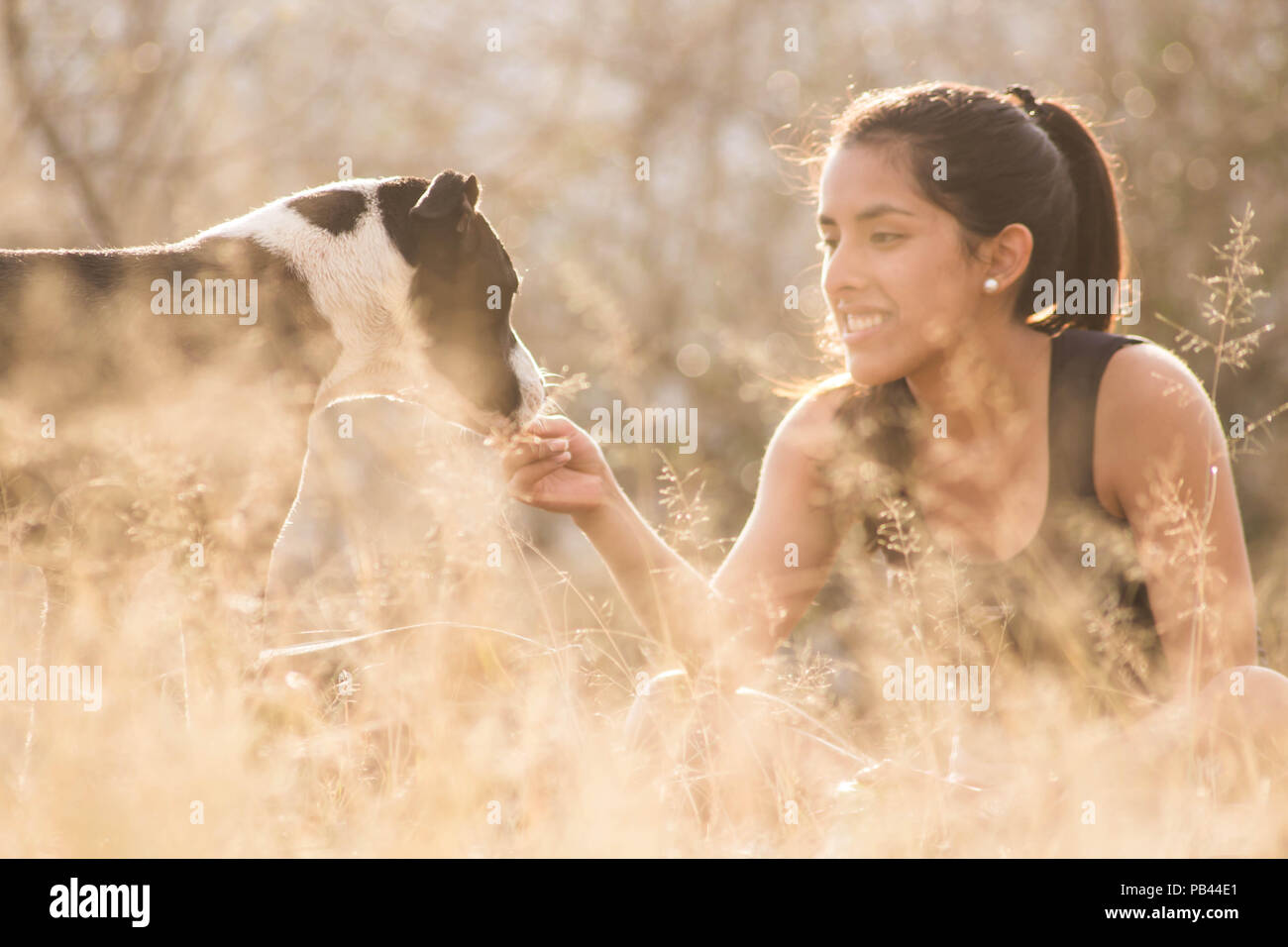 Mädchen spielen mit Ihrem Hund Stockfoto