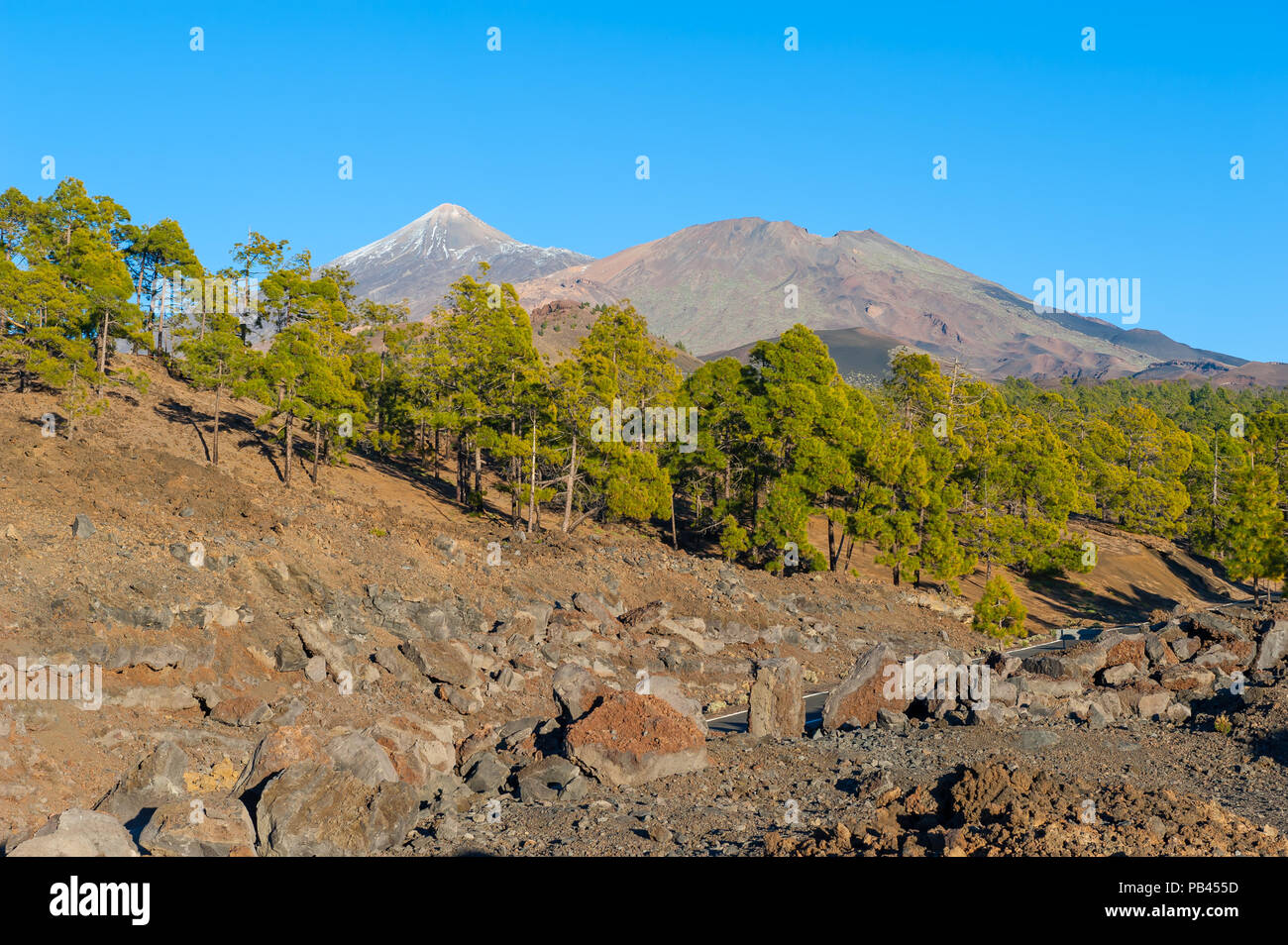 Nationalpark Teide, Teneriffa, Kanarische Inseln, Spanien Stockfoto