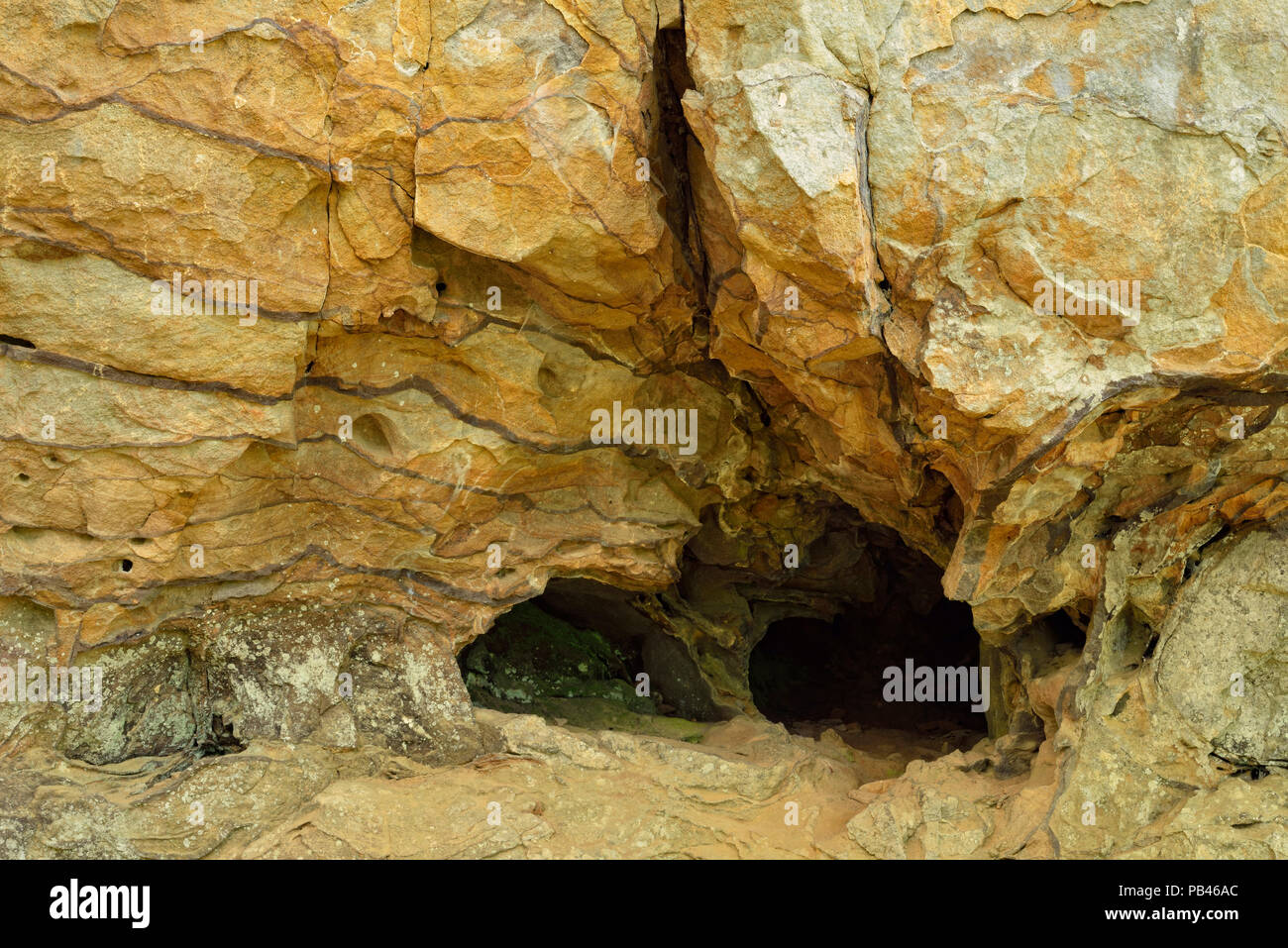 Barenhohle Stockfotos Und Bilder Kaufen Alamy