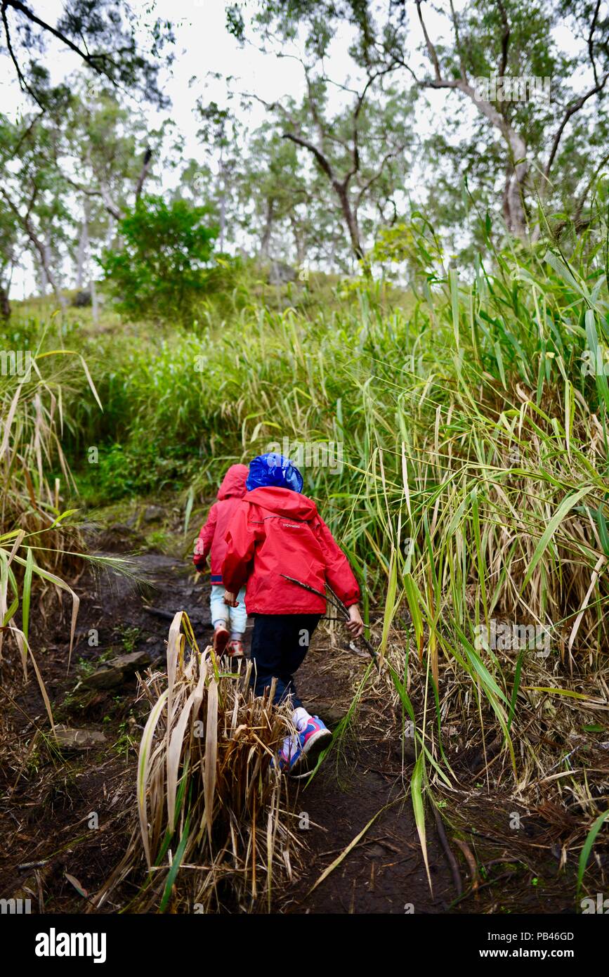 Kinder zu Fuß den Weg zu wenig Millstream Falls, Millstream Falls National Park, Atherton Tablelands, QLD, Australien Stockfoto