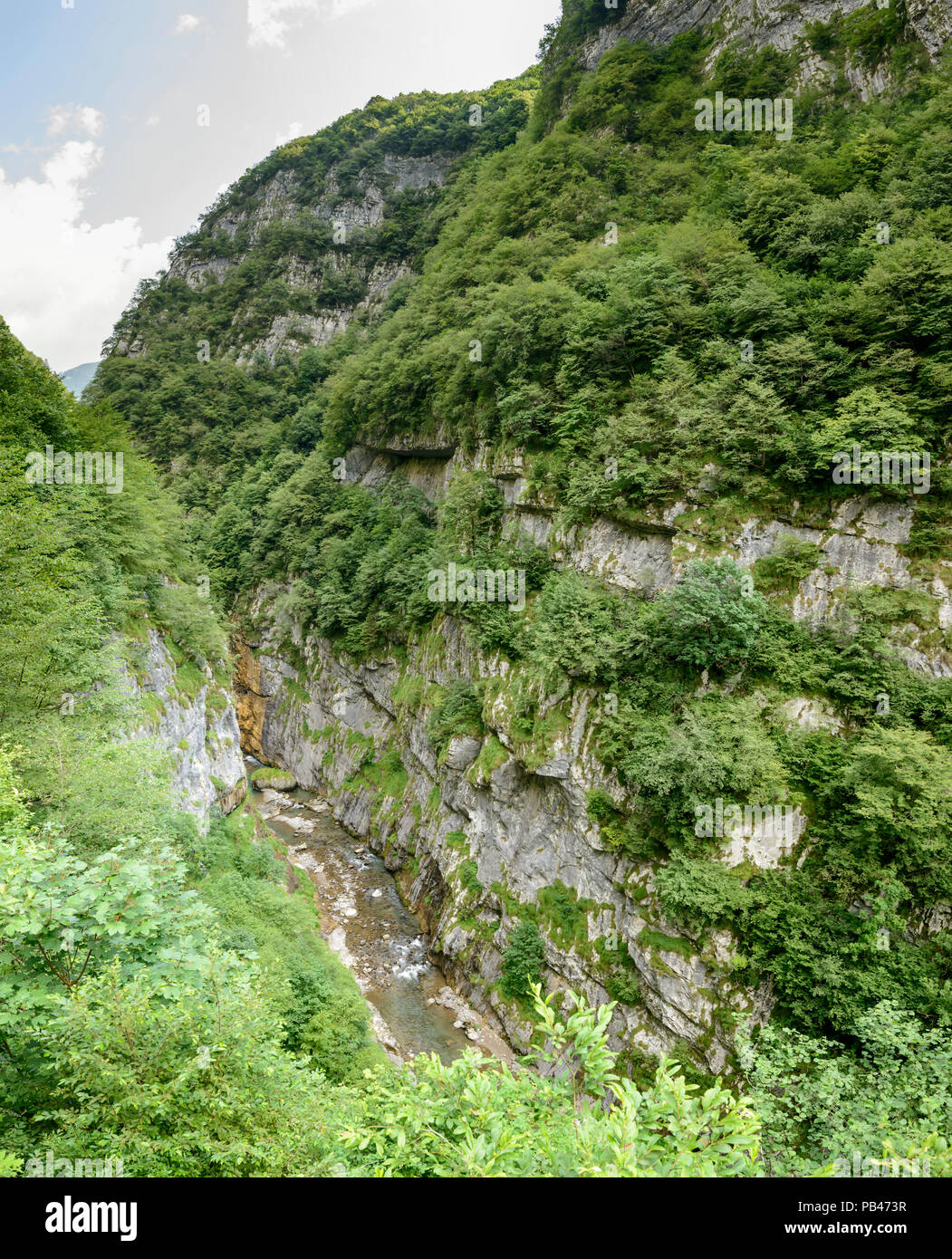 Dezzo Creek unter steilen Felswänden und üppige Vegetation von Mountain Gorge, Schuß in hellen Sommer Licht an der Via Mala, scalve Canyon, Colere, Bergamo, oder Stockfoto