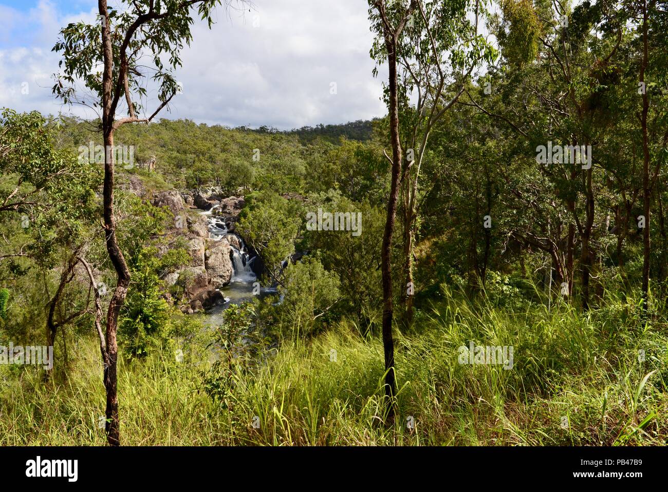 Wenig millstream fällt wie aus der Wanderweg durch die Bäume gesehen, Millstream Falls National Park, Atherton Tablelands, QLD, Australien Stockfoto