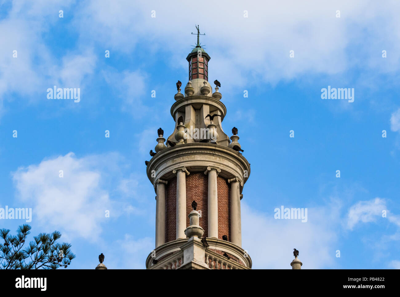 WHITE Springs, Florida, Stephen Foster VOLKSKULTUR STATE PARK-6 Februar 18: Der Glockenturm ist ein vertrautes Ruhestätte für truthahngeier. Stockfoto