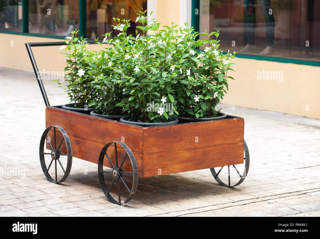 Blüten in einen Topf, Garten Dekoration Ideen Stockfoto