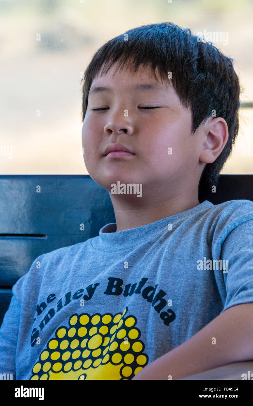 Johnny ein Nickerchen im Zug Stockfoto