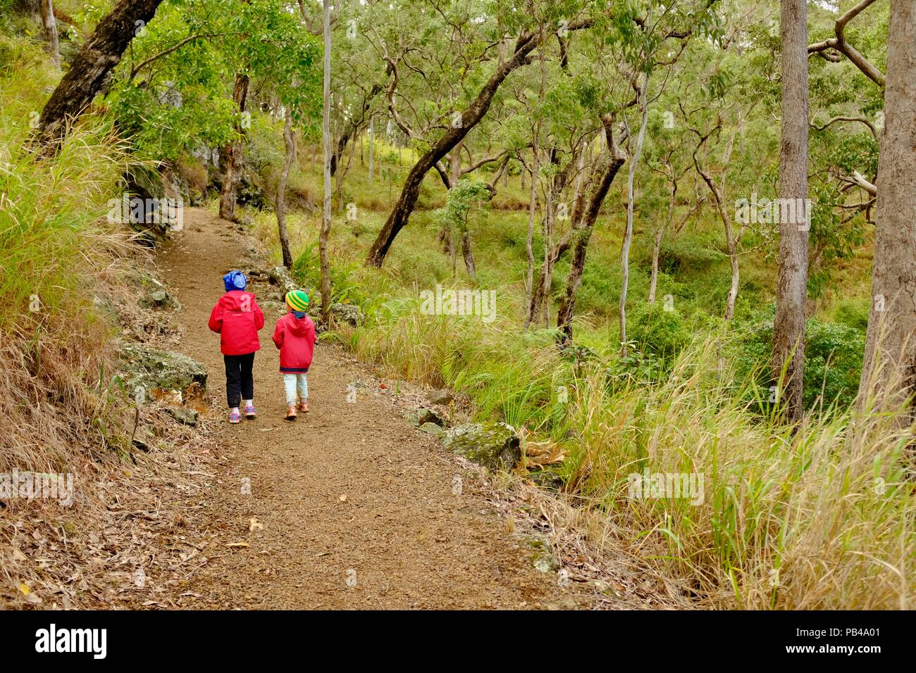 Kinder zu Fuß den Weg zu wenig Millstream Falls, Millstream Falls National Park, Atherton Tablelands, QLD, Australien Stockfoto