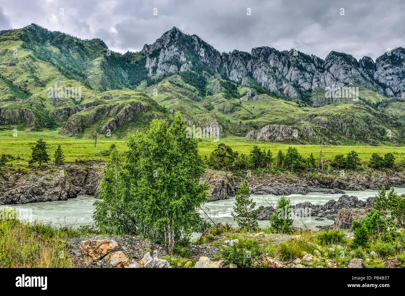 Sommer Landschaft schnell Berg Katun mit Teldykpen rapids in der Nähe von Dorf Oroktoy, Altai Gebirge, Russland. Dies ist der engsten und tiefsten p Stockfoto