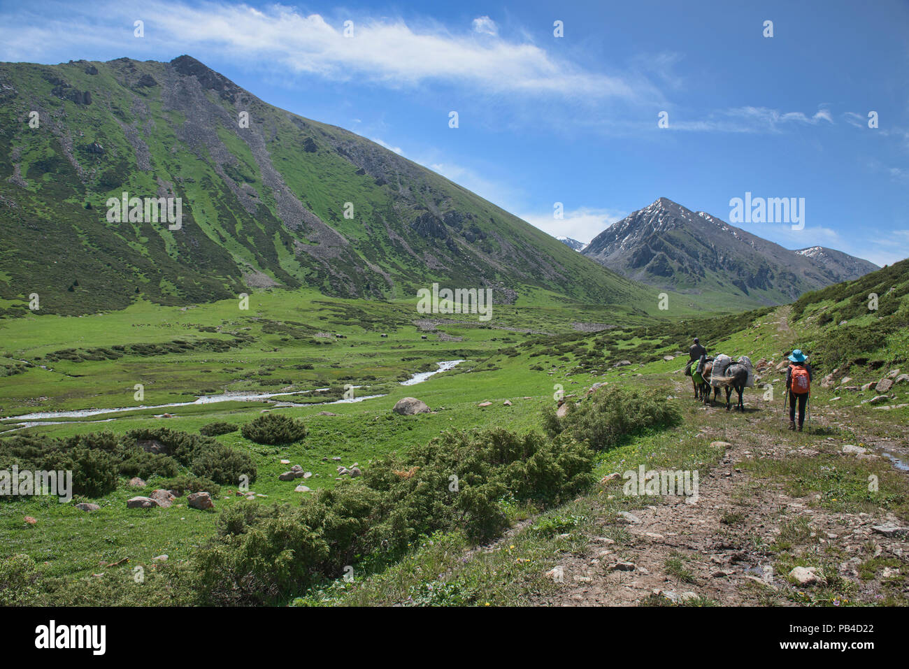 Pferdetrekking die hervorragende alpine Keskenkija Trek, Jyrgalan, Kirgisistan Stockfoto