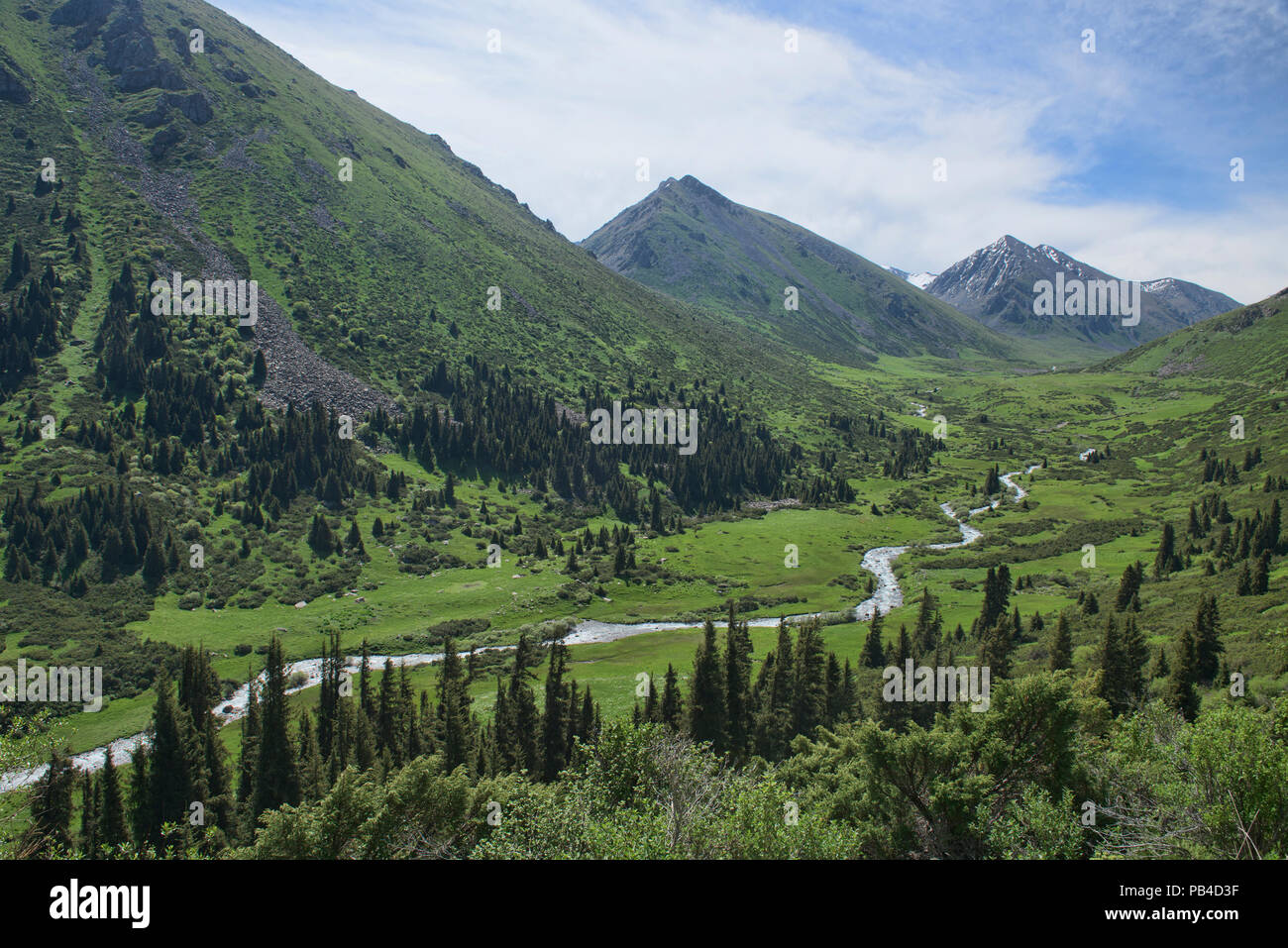 Grüne Berglandschaft auf der Keskenkija Trek, Jyrgalan, Kirgisistan Stockfoto