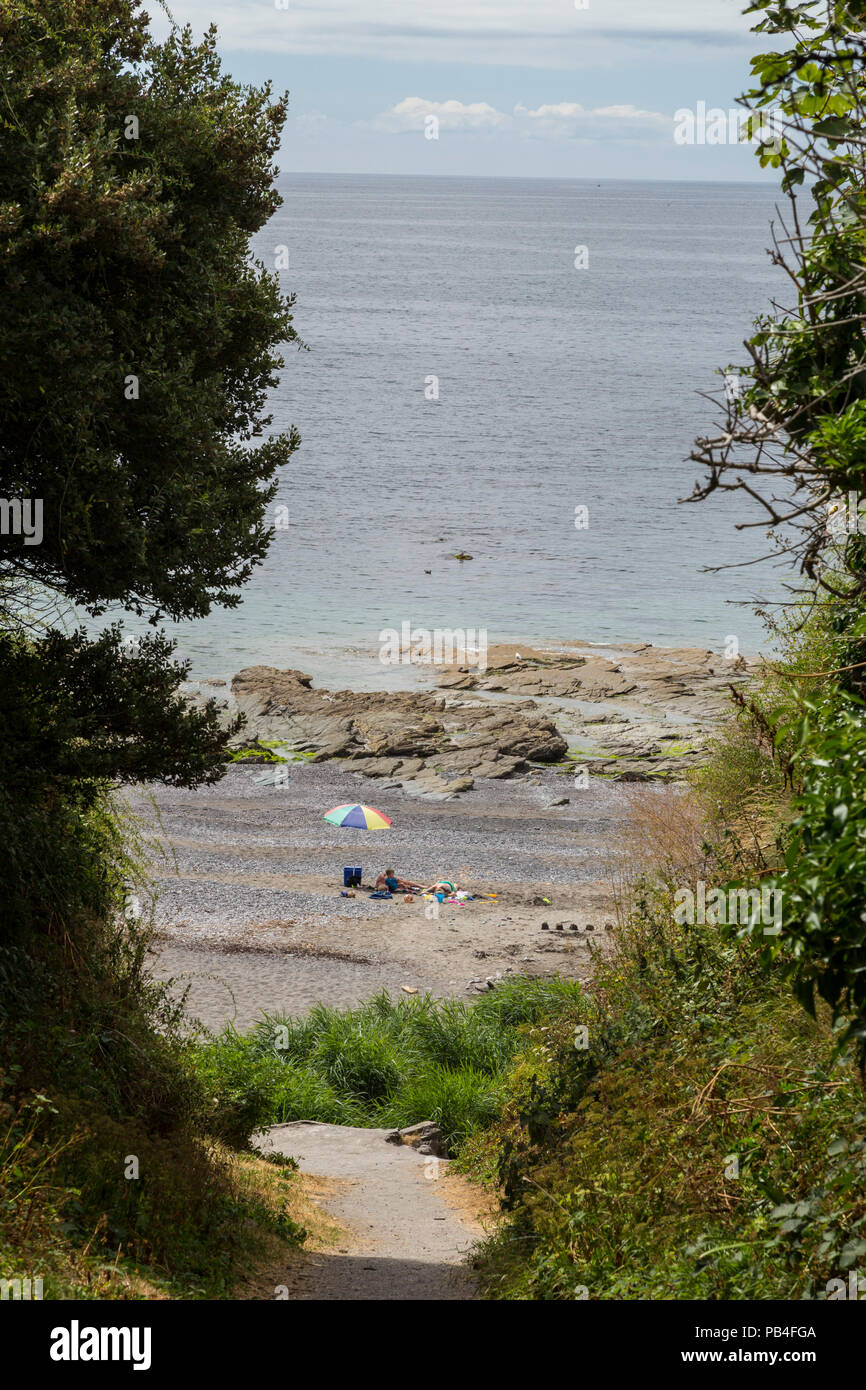 Fussweg zum Strand hinunter an Donderry, an der Südküste von Cornwall, Cornwall, Großbritannien Stockfoto