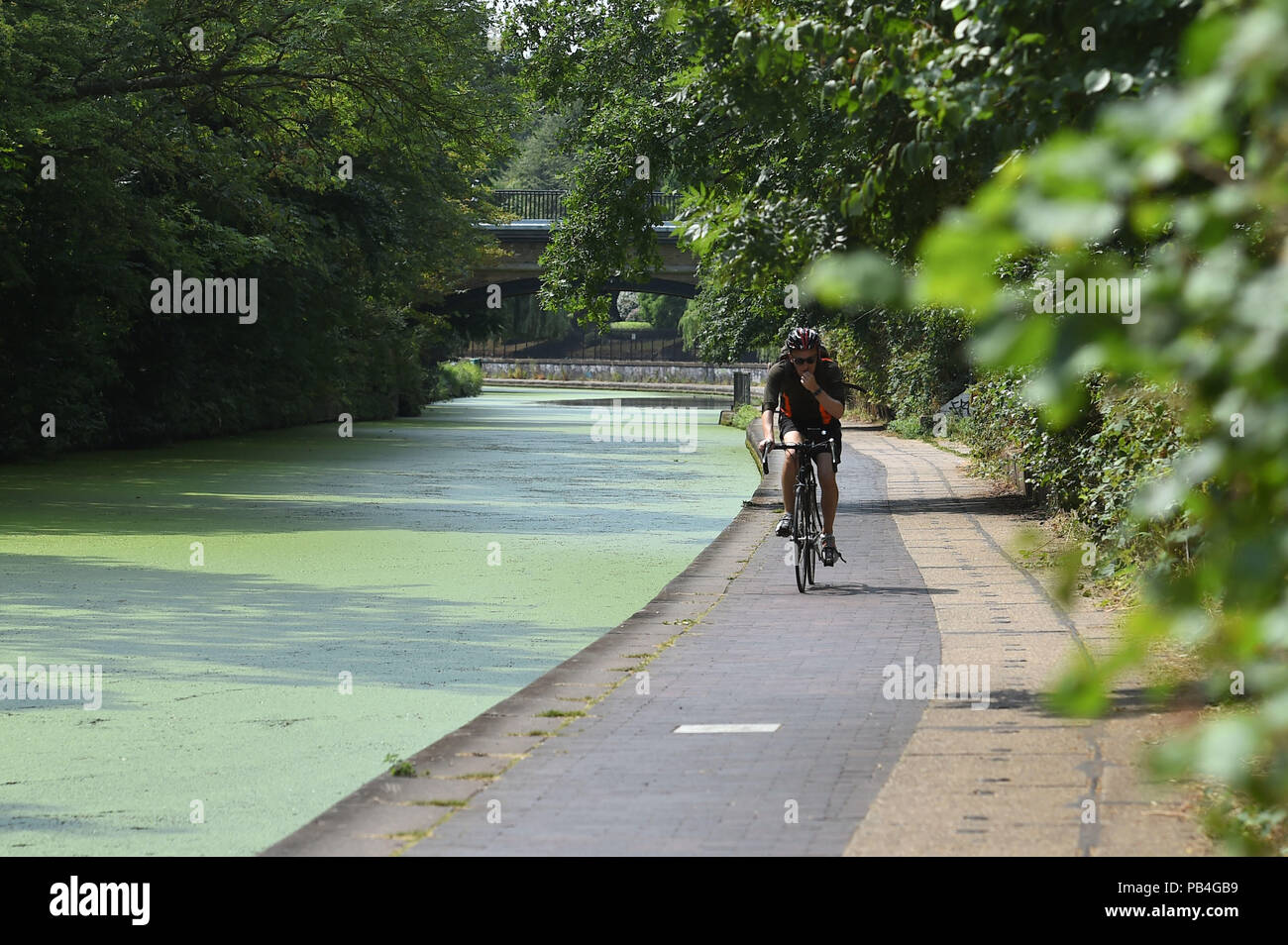 Ein Mann Radfahren in der Nähe des Regent's Canal in London als hitzewelle Bedingungen über viel von England weiter. Stockfoto